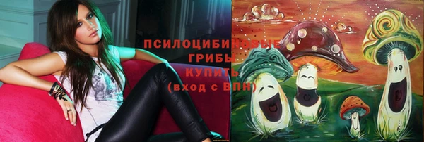 крисы Лихославль